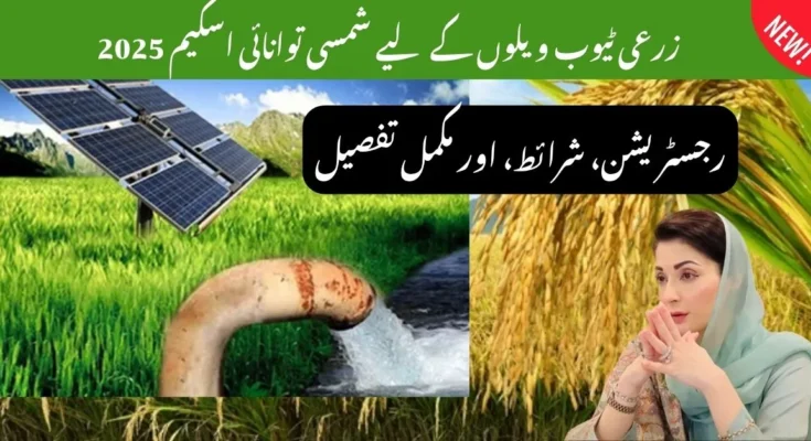 زرعی ٹیوب ویلوں کے لیے شمسی توانائی اسکیم 2025 – رجسٹریشن، شرائط، اور مکمل تفصیل