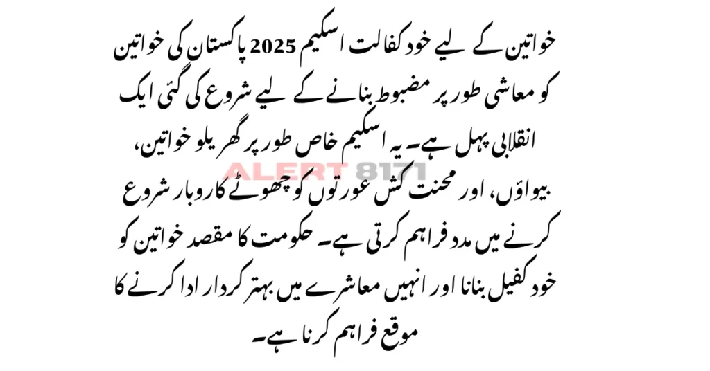 خواتین کے لیے خود کفالت اسکیم 2025: آسان رجسٹریشن، فوائد اور مکمل رہنمائی