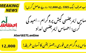 احساس ایمرجنسی کیش پروگرام – امید کی کرن: احساس ایمرجنسی امداد
