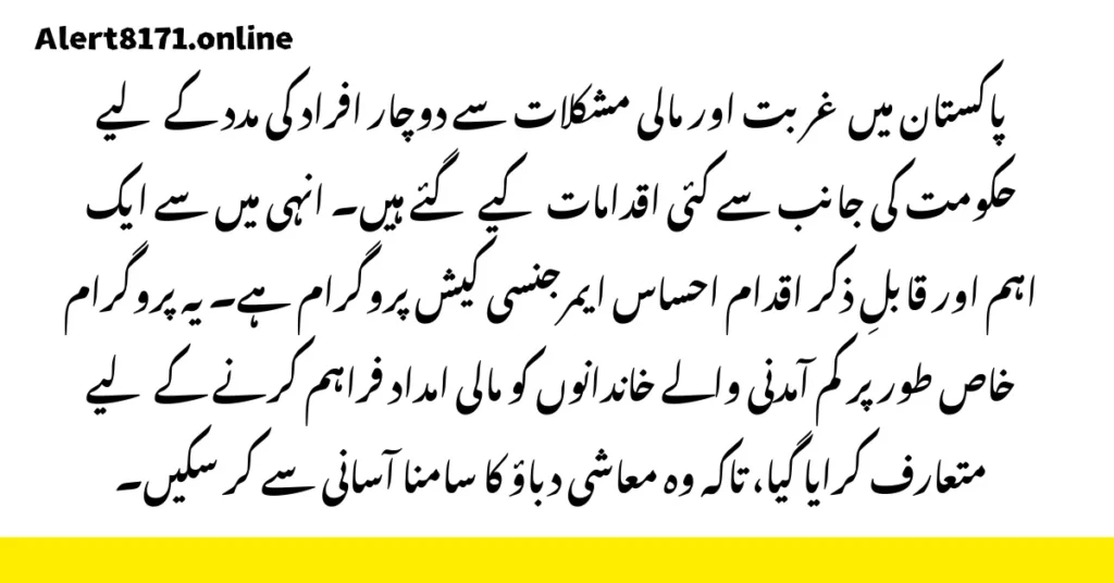 احساس ایمرجنسی کیش پروگرام