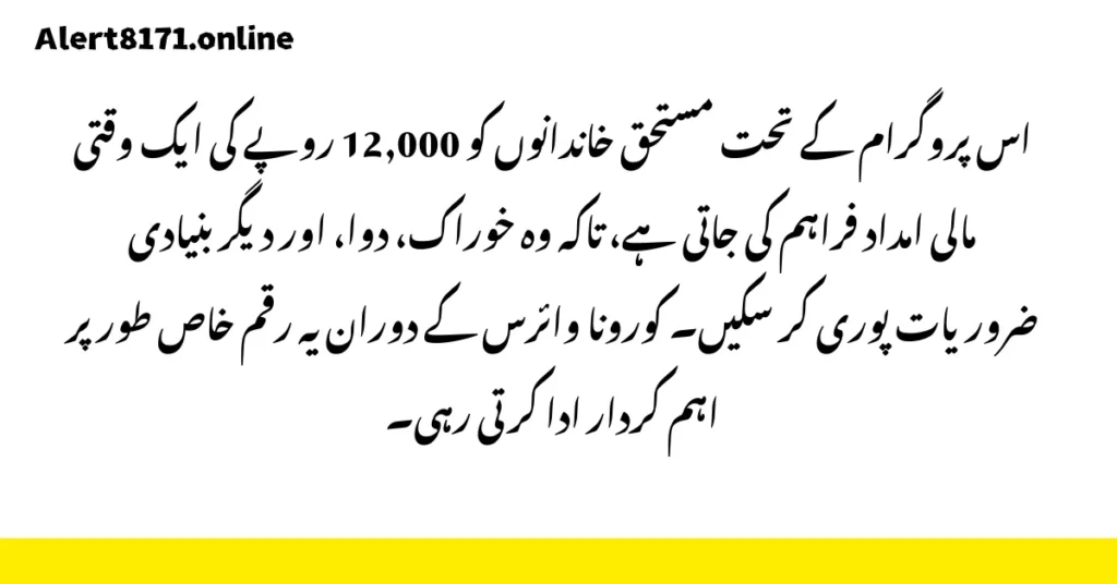 احساس ایمرجنسی کیش پروگرام