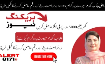 وزیراعلیٰ پنجاب گندم سپورٹ پروگرام 2025: درخواست دینے اور رقم حاصل کرنے کا مکمل طریقہ
