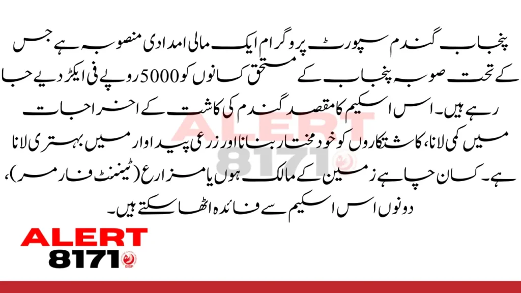 وزیراعلیٰ پنجاب گندم سپورٹ پروگرام 2025: درخواست دینے اور رقم حاصل کرنے کا مکمل طریقہ