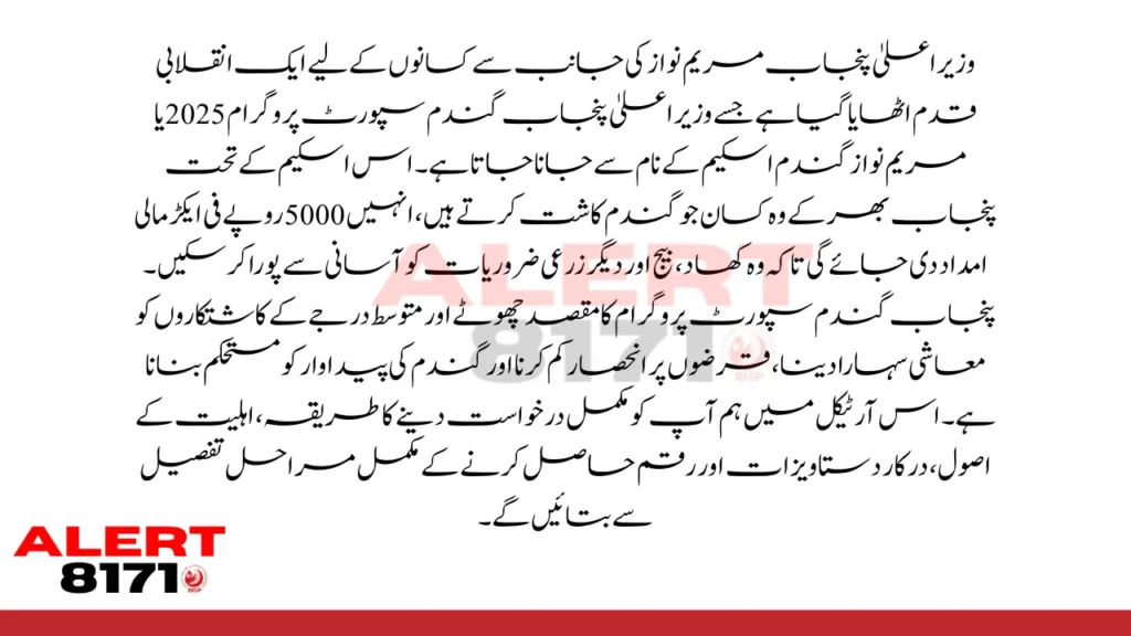 وزیراعلیٰ پنجاب گندم سپورٹ پروگرام 2025: درخواست دینے اور رقم حاصل کرنے کا مکمل طریقہ