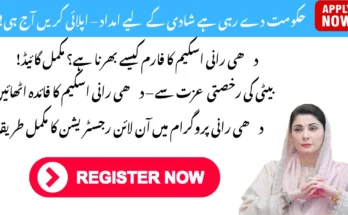 حکومت پنجاب کی دھی رانی اسکیم – رجسٹر کریں اور امداد حاصل کریں