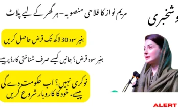 وزیرِاعلیٰ آسان کاروباری قرض اسکیم – بغیر سود 30 لاکھ تک قرض حاصل کریں